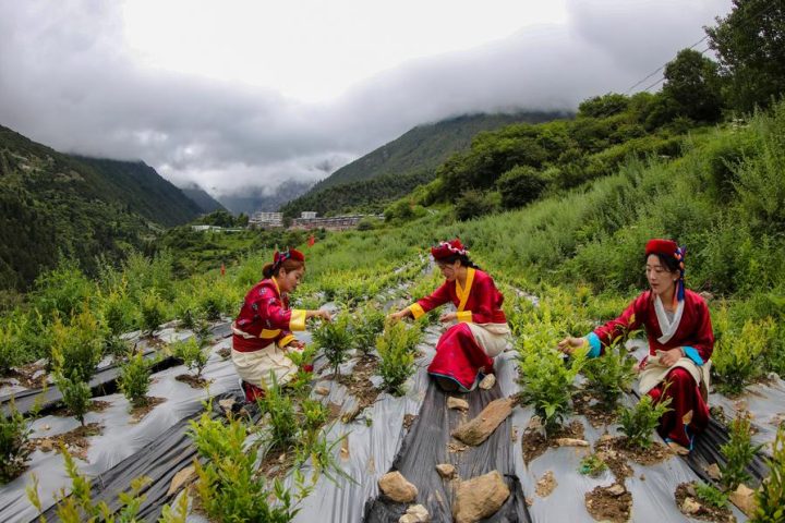 တရုတ်နိုင်ငံက နယ်ပယ်စုံတွင် လူ့အခွင့်အရေးကာကွယ်မှု ခိုင်မာအားကောင်းအောင် ဆောင်ရွက်လျက်ရှိ
