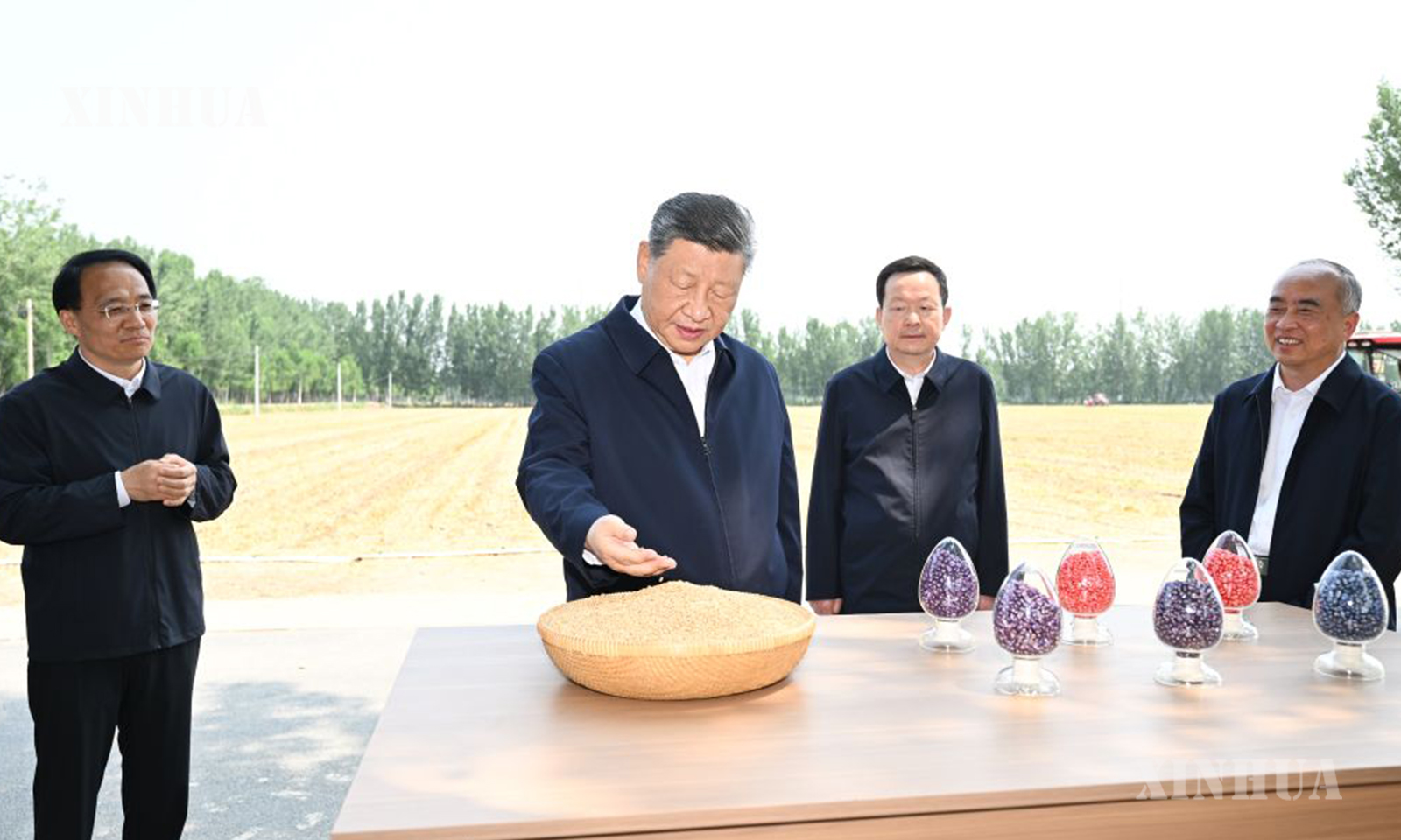 တရုတ်ကွန်မြူနစ်ပါတီ ဗဟိုကော်မတီ အထွေထွေအတွင်းရေးမှူးချုပ်၊ တရုတ်နိုင်ငံ သမ္မတနှင့် ဗဟိုစစ်ကော်မရှင် ဥက္ကဋ္ဌ ရှီကျင့်ဖိန် တရုတ်နိုင်ငံ အရှေ့ပိုင်း ဆန်းတုန်းပြည်နယ် တယ်ကျိုးမြို့ လျင်ချိန်ခရိုင်၊ တုန်းယွီကျာ့ကျေးရွာ၌ ဒေသခံများ၏ ဂျုံရိတ်သိမ်းမှု၊ ပြောင်းစိုက်ပျိုးမှုနှင့် လယ်ယာသုံးစက်ပစ္စည်းများအား ကြည့်ရှုလေ့လာနေပုံကို ၂၀၂၆ ခုနှစ် ဇွန် ၂၄ ရက်က တွေ့ရစဉ် (ဆင်ဟွာ)