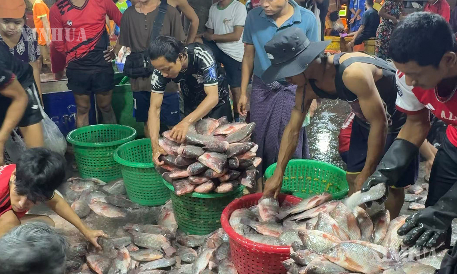 မြန်မာနိုင်ငံ လှိုင်မြို့နယ်ရှိ ရွှေပိတောက်ငါးဈေးတွင် ရေထွက်ကုန်ပစ္စည်းများအား အမျိုးအစားခွဲပြင်ဆင်နေပုံကို ၂၀၂၆ ခုနှစ် ဇူလိုင် ၈ ရက်က တွေ့ရစဉ် (ဆင်ဟွာ)