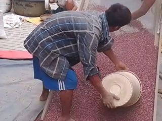 ၂၀၂၆-၂၀၂၇ ဘဏ္ဍာနှစ် ပထမသုံးလအတွင်း မြန်မာနိုင်ငံက ပဲမျိုးစုံ၊ ပြောင်းနှင့် နှမ်း တန်ချိန် ၁ သန်းကျော် တင်ပို့
