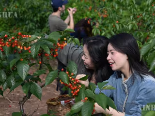 တရုတ်နိုင်ငံ၏ ဆင်းရဲနွမ်းပါးမှုလျှော့ချရေး အတွေ့အကြုံက လေ့လာအတုယူထိုက်ကြောင်း တောင်အာဖရိကမီဒီယာဖော်ပြ