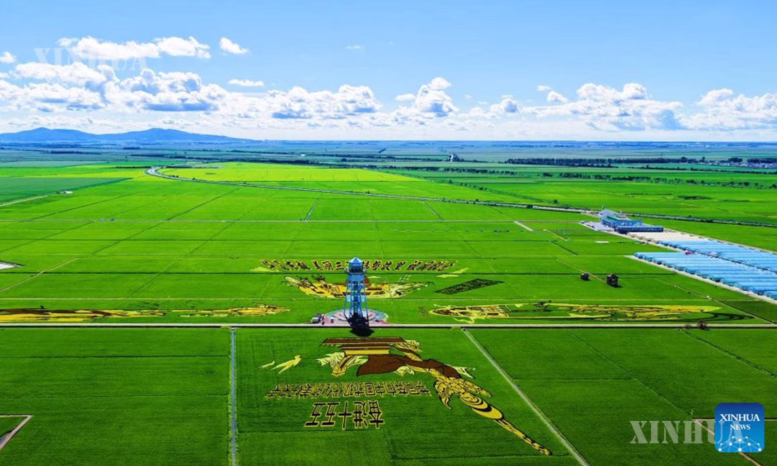တရုတ်နိုင်ငံ အရှေ့မြောက်ပိုင်း ဟေးလုံကျန်းပြည်နယ် ဖုကျင်မြို့ရှိ ဆန်စပါးဥယျာဉ်တွင် ဆန်စပါးစိုက်ခင်းအနုပညာလက်ရာများကို မြင်ကွင်းကျယ်ဖြင့် ၂၀၂၆ ခုနှစ် ဇူလိုင် ၂၉ ရက်က တွေ့ရစဉ် (ဆင်ဟွာ)