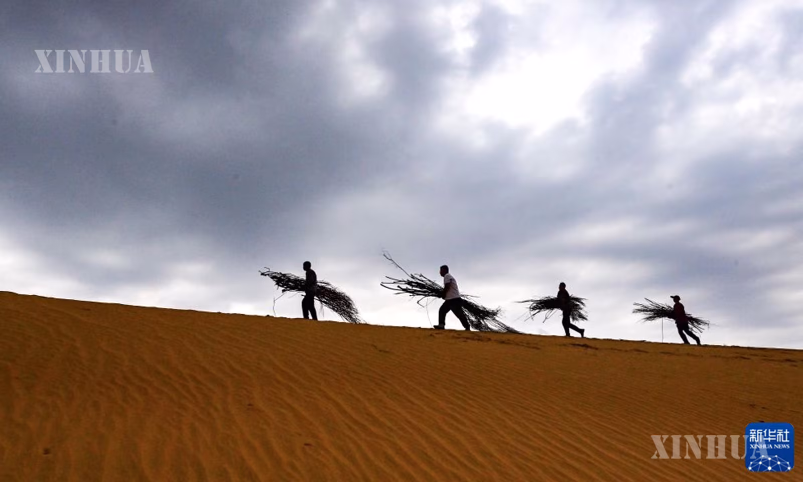 တရုတ်နိုင်ငံ အတွင်းမွန်ဂိုလီးယားကိုယ်ပိုင်အုပ်ချုပ်ခွင့်ရဒေသ၊ အဲ့အယ်တောစစ်မြို့၊ အဲ့ထောခဲ့ချန်ချီရှိ အောင်စုမြို့နယ်တစ်နေရာရှိ သဲကန္တာရမြက်ခင်းပြင်တစ်ခုတွင် လေတိုက်ခတ်မှုနှင့် သဲရွေ့လျားမှုကို ကာကွယ်ရန် လုပ်ဆောင်သည့် “လုပ်အားဖြင့် သက်သာခွင့်ရရှိစေခြင်း” စီမံကိန်းတည်ဆောက်ရေးနေရာ၌ လုပ်ငန်းဆောင်ရွက်နေသည့်  သဲကန္တာရဖြစ်ထွန်းမှုကုစားရေးဝန်ထမ်းများအား ၂၀၂၆ ခုနှစ် စက်တင်ဘာ ၆ ရက်က တွေ့ရစဉ် (ဆင်ဟွာ)