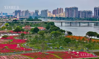 တရုတ်နိုင်ငံ အိမ်ခြံမြေဈေးကွက် ရောင်းလိုအားနှင့် ဝယ်လိုအား ပြောင်းလဲမှုကြီးဖြစ်ပေါ်ဟု တာဝန်ရှိသူ ပြောကြား