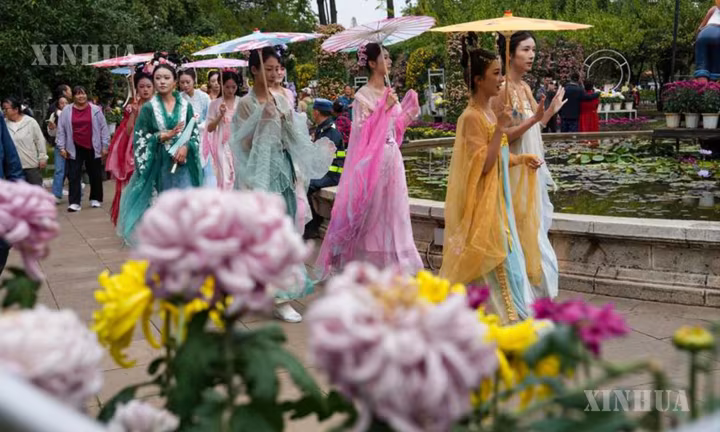 ယူနန်ပြည်နယ် ကူမင်းမြို့တွင် ဆောင်းဦးဂန္ဓမာပန်းများ ပွင့်လန်းဝေဆာလျက်ရှိ