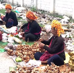 မြန်မာနိုင်ငံ အင်းလေးဒေသ နန်းပန်ဈေးတွင် ဒေသထွက်ကုန်များနှင့် ဟင်းသီးဟင်းရွက် ရောင်းချမှု မြင်ကွင်း